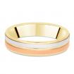 alliance-polychrome-satine-tricolore-2013909